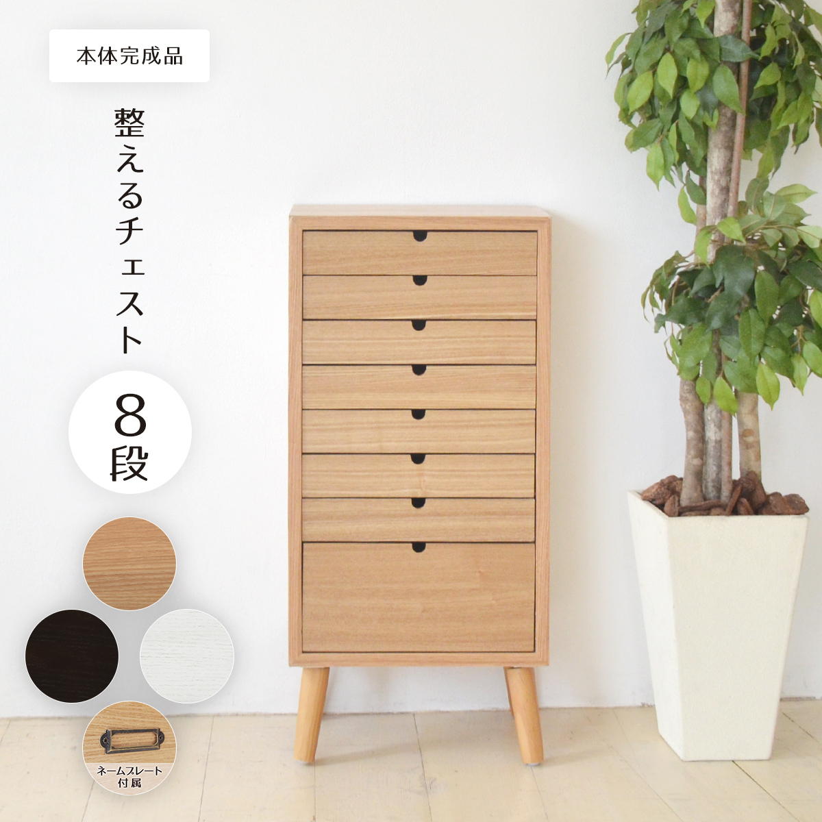 ������������ȡ�8�ʥ�����