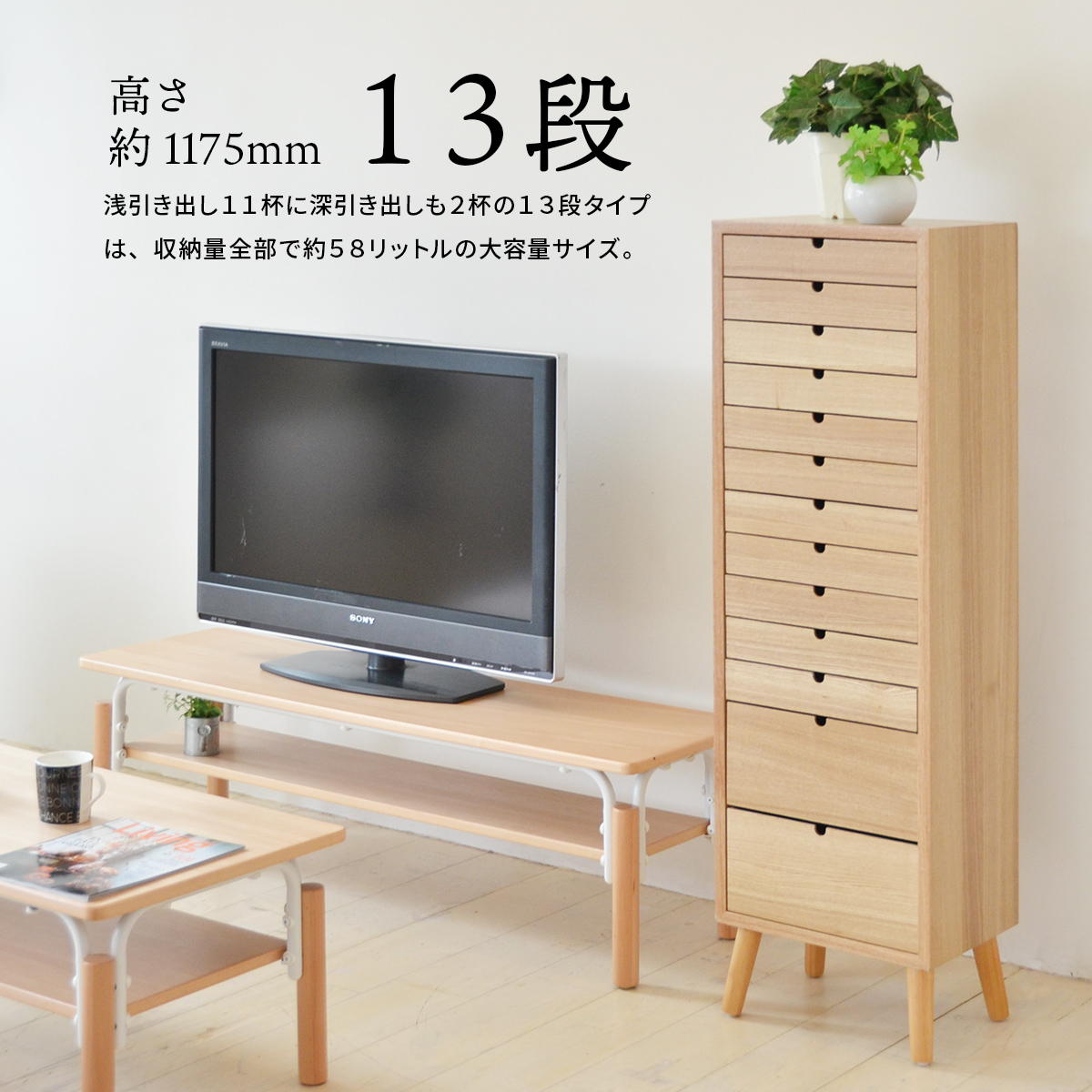 ������������ȡ�13�ʥ�����