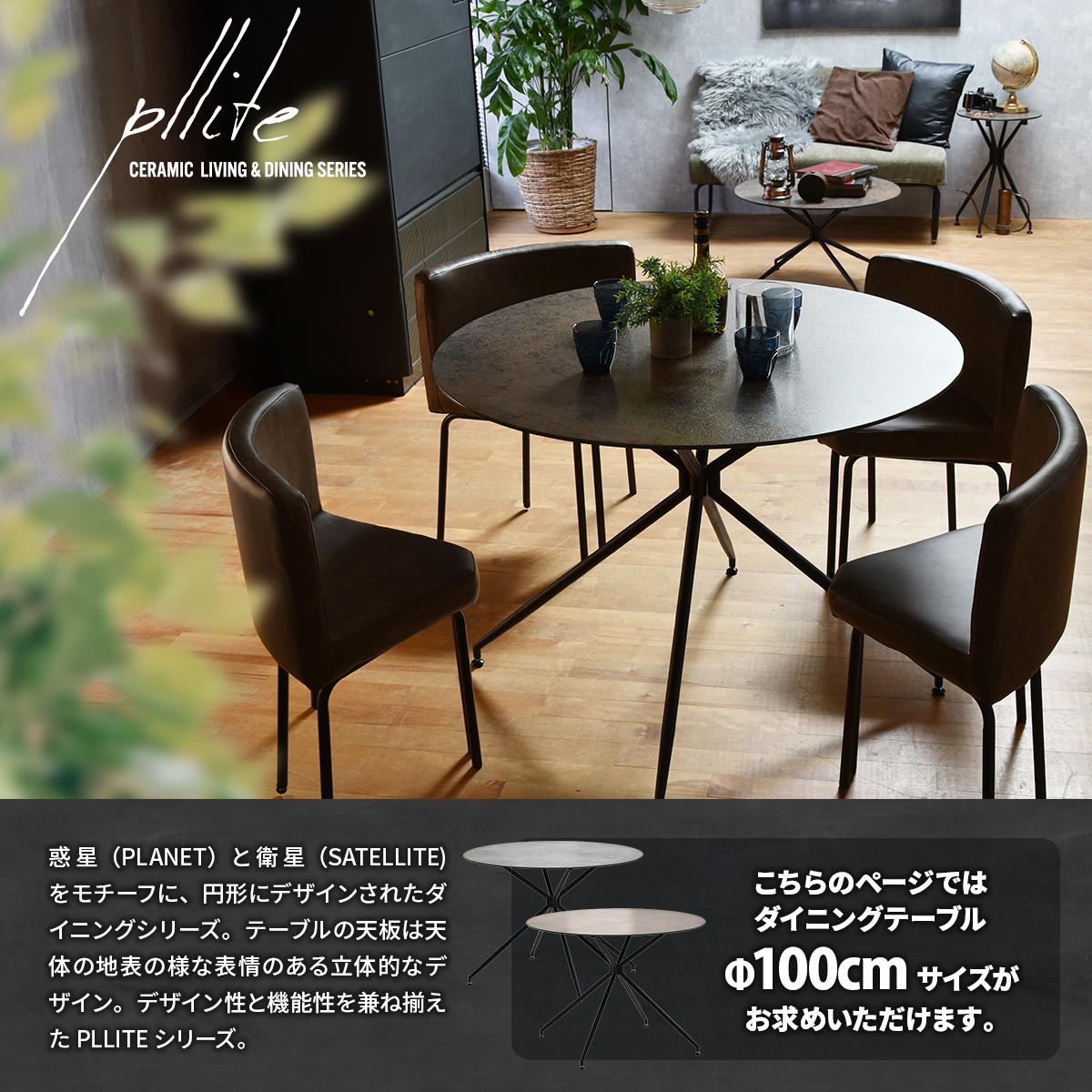PLLITE�������˥󥰥ơ��֥���100