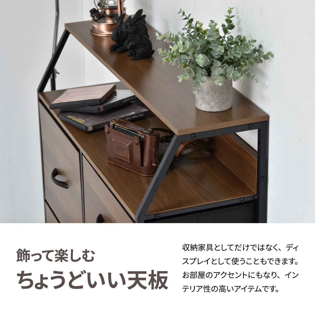 ê�դ���ӥ󥰥������� Regal �ϥ������סʰ����Ф�5�ա�