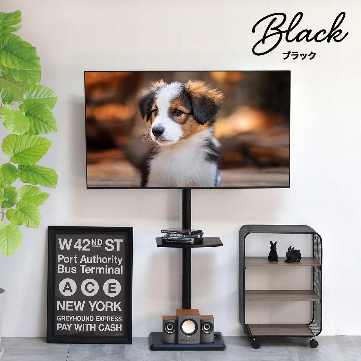 ê�դ��ƥ�ӥ������ HASE��2025ǯ�����͡�