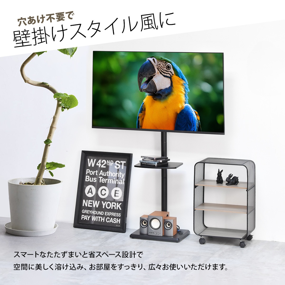 ê�դ��ƥ�ӥ������ HASE��2025ǯ�����͡�