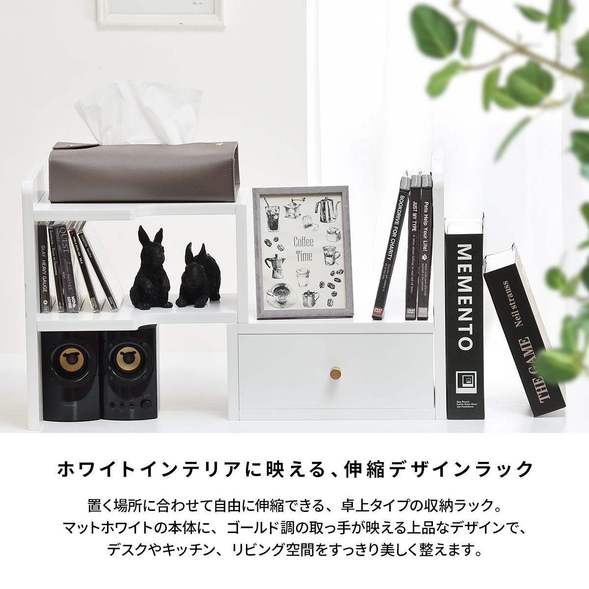 BF DECO ��忭�̥�å�