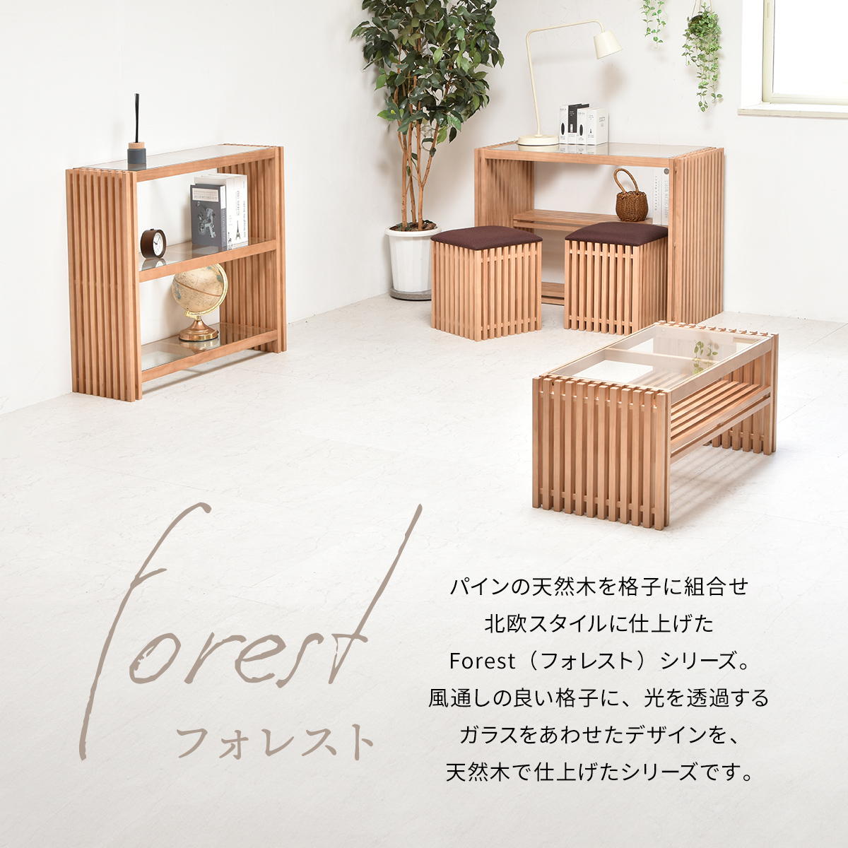 FORESTǥ