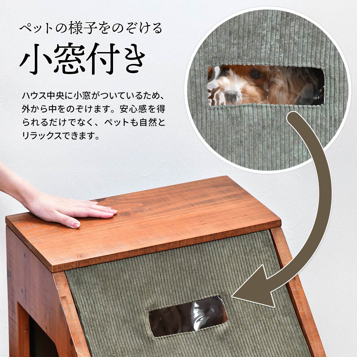 infinite���ڥåȥϥ���