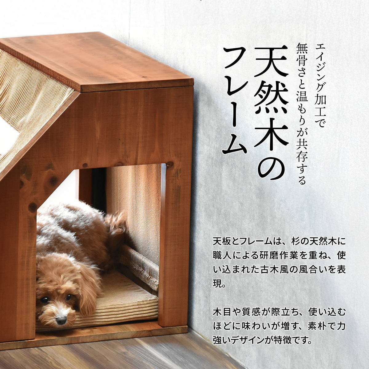 infinite���ڥåȥϥ���