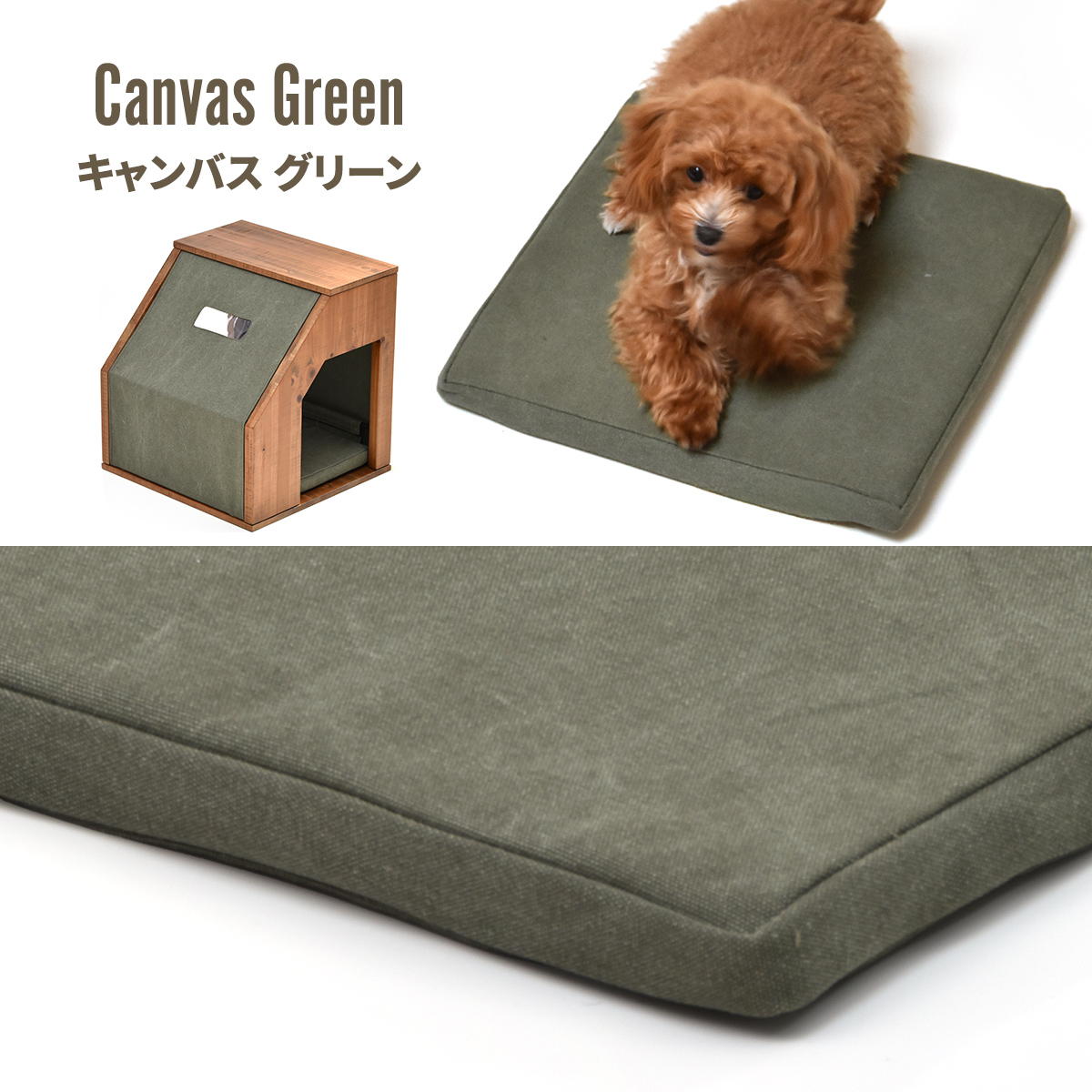 infinite���ڥåȥϥ���