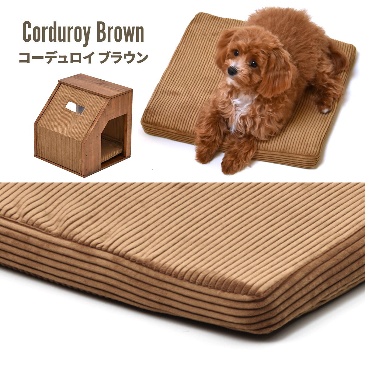 infinite���ڥåȥϥ���