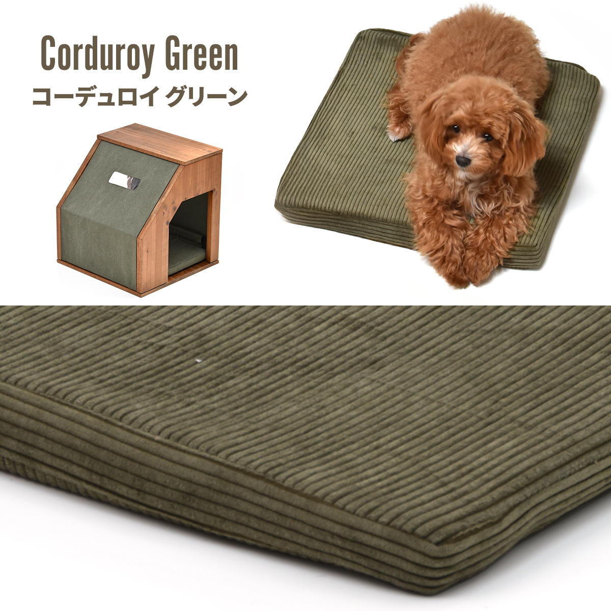 infinite���ڥåȥϥ���