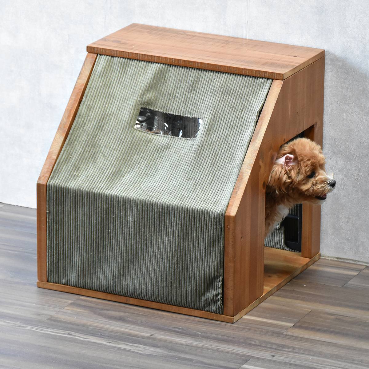 infinite���ڥåȥϥ���