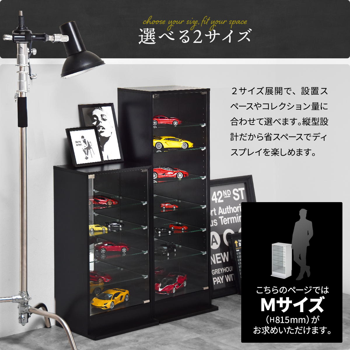 ���쥯����󥱡��� M������