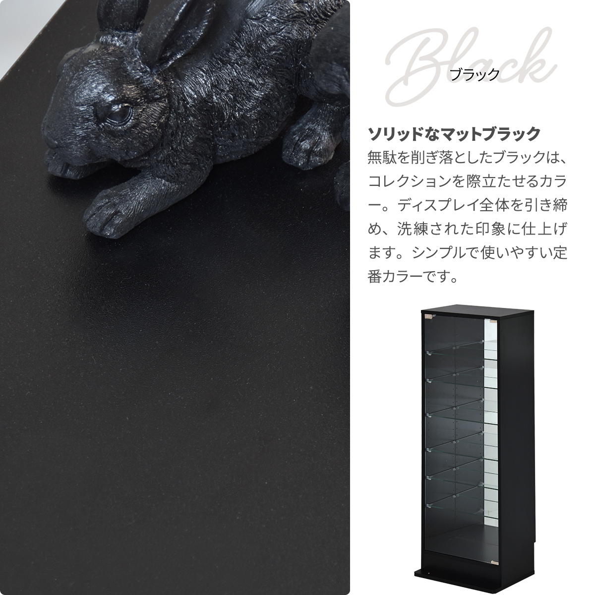 ���쥯����󥱡��� L������