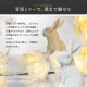���쥯����󥱡��� L������