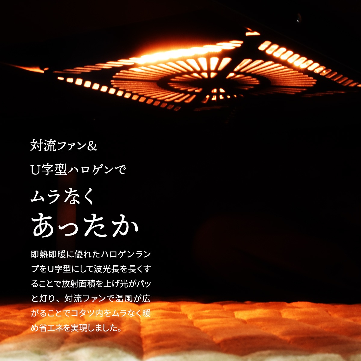 ��������ʥå��������ȡ���������120���Х�����