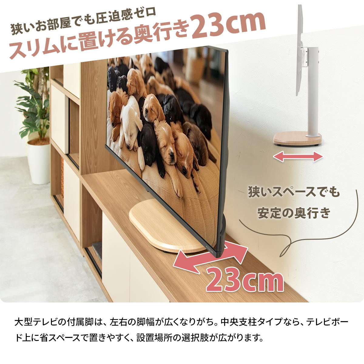 ���TV������� colon