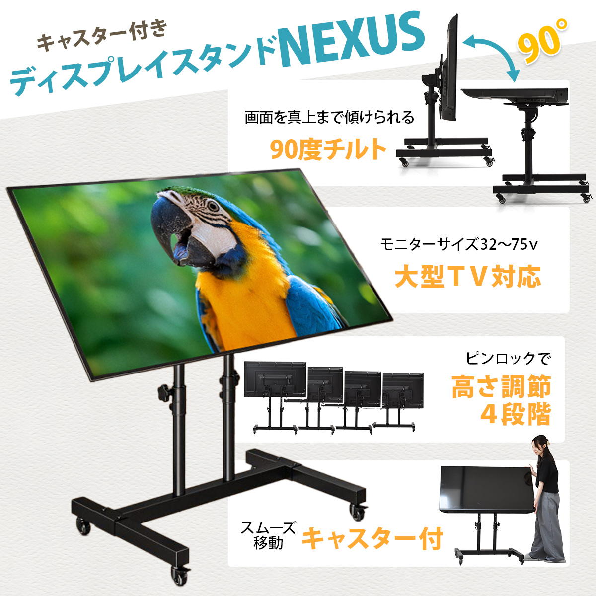���㥹�����դ� TV������� NEXUS