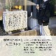 饿Ĵ С