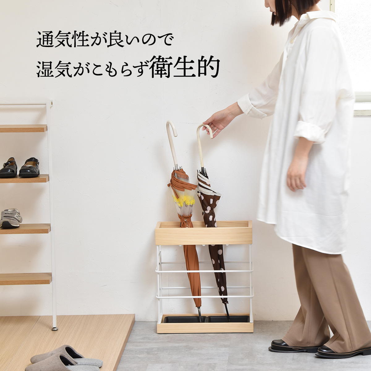 ��Ω�� Anm �磻��