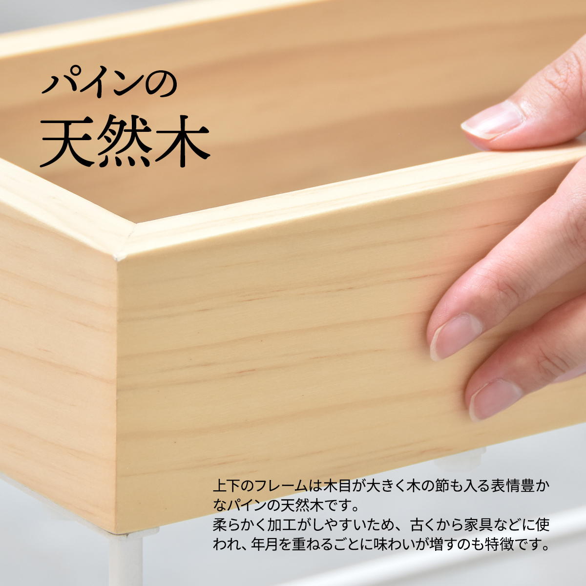 ��Ω�� Anm �磻��