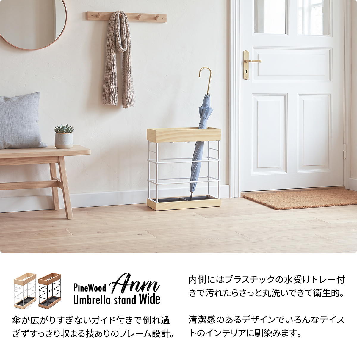 ��Ω�� Anm �磻��