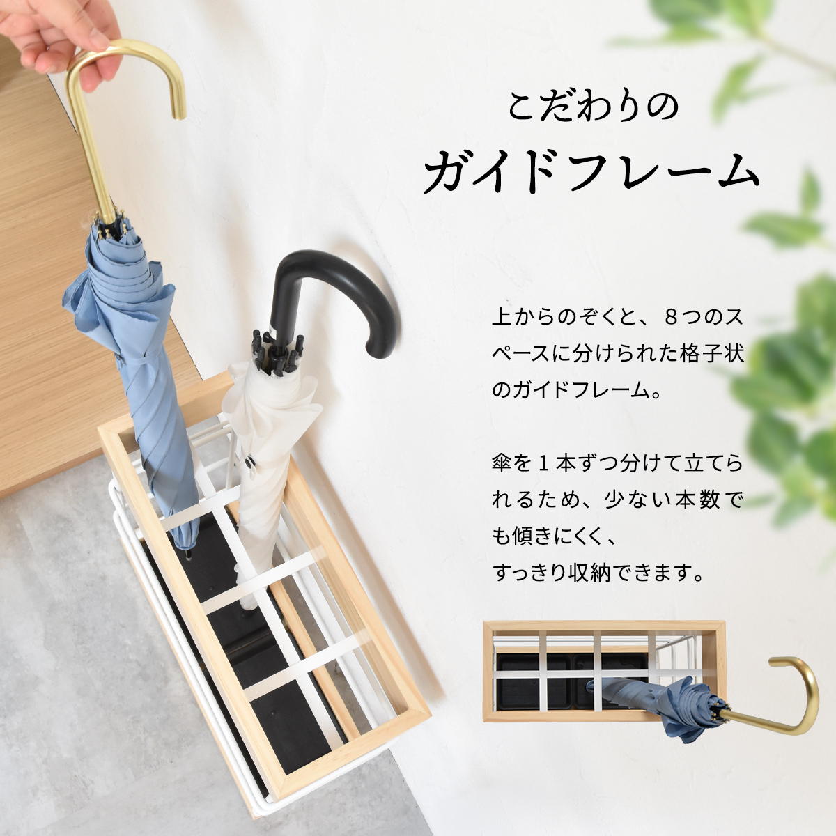 ��Ω�� Anm �磻��