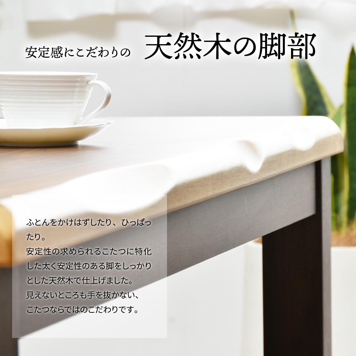 ��������ʥå����ġ��ϥ�������/�����������ڤ��ؤ���ǽ ��135(2�����å�)