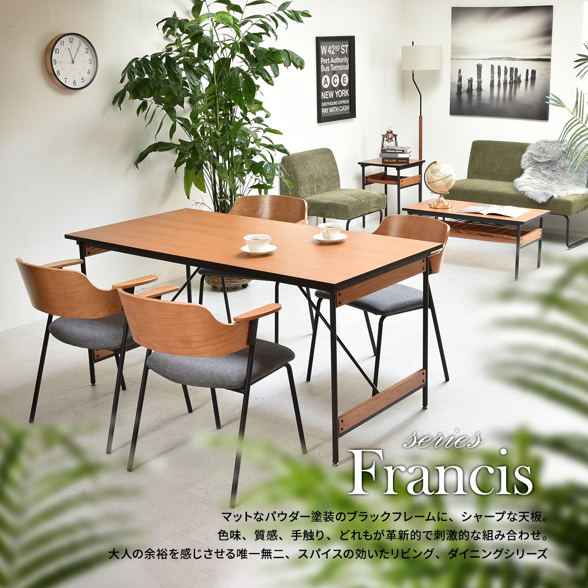 Francis ˥󥰥ơ֥ 150