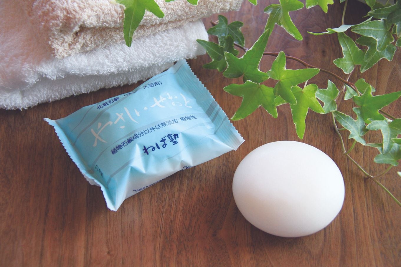 やさしいせおと