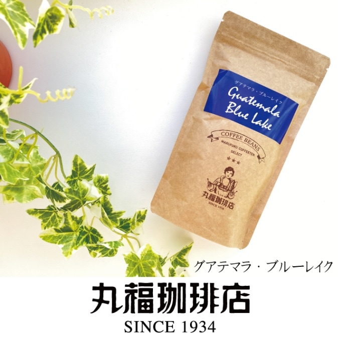 丸福セレクト珈琲豆　グアテマラ・ブルーレイク（100g）