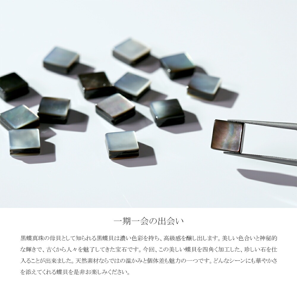 ピアス 金属アレルギー対応 セカンドピアス ファーストピアス レディース 誕生日 プレゼント ステンレス316 フープ 輪 輪っか 中折れ 甲丸 ピアス 天然石 蝶貝【片耳用】