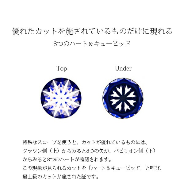 キュービック ハイヒール フックピアス