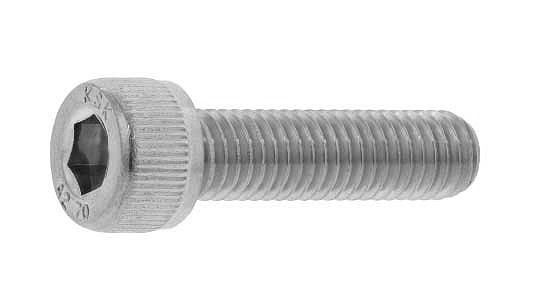 ãСʴĥƥ쥹 ԎÎݎڎ(303304XM7)/(ޤɸ)