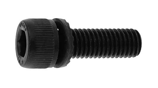 ǣԡݣӡã ɸ(ޤŴ)/˥å