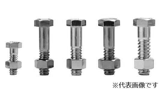 DAIDОHANT クロメート 両ネジボルト M12X360 50入 ( 00036205 ) (株)ダイドーハント (メーカー取寄)