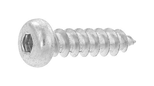 ��ϻ�ѷ�ˣ��ʥ� ��ɸ��(�ޤ���Ŵ)/�����ۥ磻�ȡ�