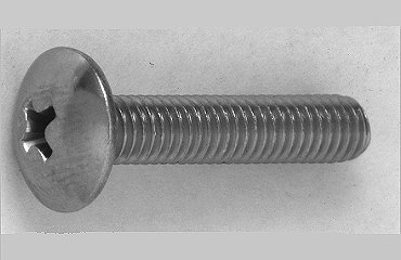 ѥåȥ饹ͤ ԎÎݎڎ(303304XM7)/(ޤɸ)