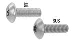 ԣңءʥȥ饹ͤ ԎÎݎڎ(303304XM7)/åȡ