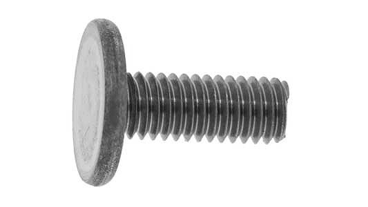 ��ʿ���ͤ��ʥ�����ɣ£��͵�̵�� ��ɸ��(�ޤ���Ŵ)/�����ۥ磻�ȡ�