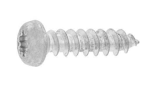 ���̣ҡ��ʥ� ��ɸ��(�ޤ���Ŵ)/�����ۥ磻�ȡ�