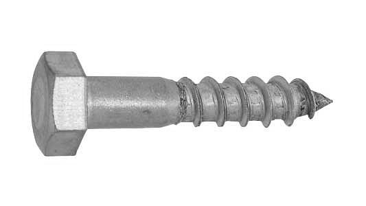 ϻѥ ɸ(ޤŴ)/ۥ磻ȡ