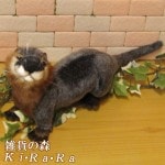 ���臘���������ף����ꥢ���ưʪ�Τ̤������