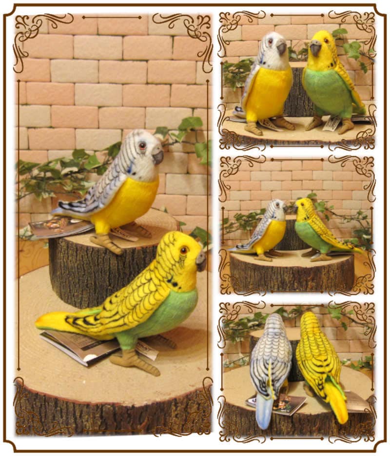 セキセイインコ ペアセット ブルー・グリーン リアルな小鳥の