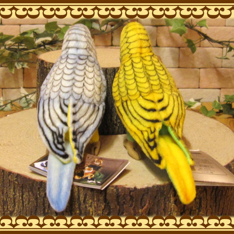 セキセイインコ ペアセット ブルー・グリーン リアルな小鳥の