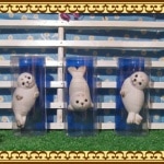 �����饷�α���������ʪ ���ݡ���