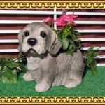 ȤäƤ⥭塼ȢİҸΥץ󥿡ʥ