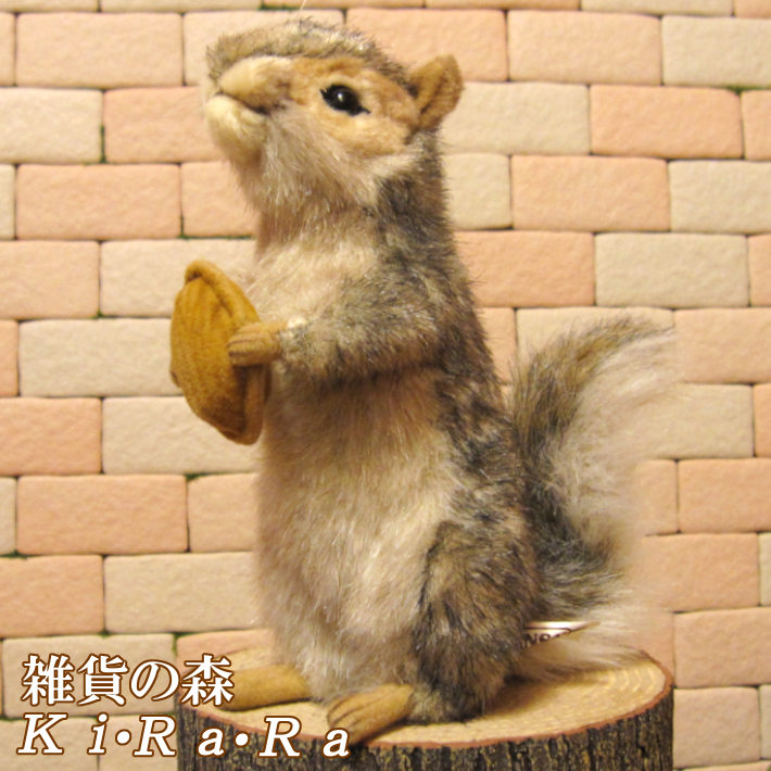 灰色りす リアルなリスのぬいぐるみ | かわいい動物グッズの通販なら