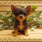 ���������Υ���ƥꥢ�ˤ����Υ����ʥ��ȤȤ��Ƥ�����ꥢ��ʸ�����ʪ�������Ҹ����֥饦��