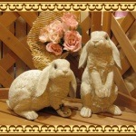 ���������Υ���ƥꥢ�ˤ����Υ����ʥ��ȤȤ��Ƥ�����ʥ�����ƥ����Ȥǥꥢ��ʥ���������ʪ�����Υ��åȤǤ�