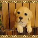 ラブラドールレトリバー◇ リアルな犬の置物 ぶらさがりドッグ いぬのフィギア◇お部屋のインテリアにお庭のオーナメントとしても♪
