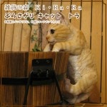 �ꥢ��ʥͥ�����ʪ���֤餵���ꥭ��åȡ��Ȥ顡�ͤ��Υե����奢���������Υ���ƥꥢ�ˤ����Υ����ʥ��ȤȤ��Ƥ����